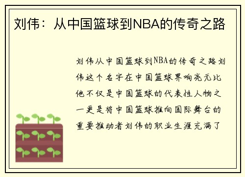 刘伟：从中国篮球到NBA的传奇之路